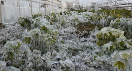 Meteoroloji’den 4 uyarı birden