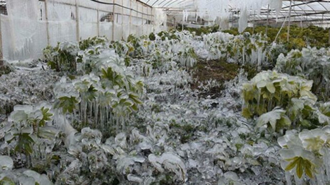 Meteoroloji’den 4 uyarı birden