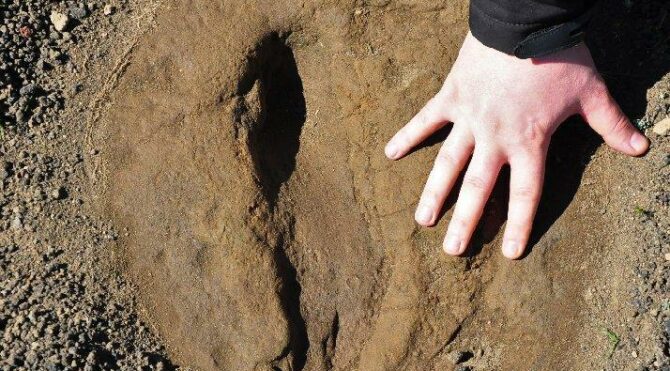 5 bin yıllık çıktı: Kimse gelmesin diye yerlerini gizli tutuyorlar