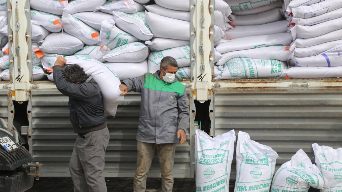 Konya’da 200 ton sertifikalı yerli mercimek tohumu dağıtıldı