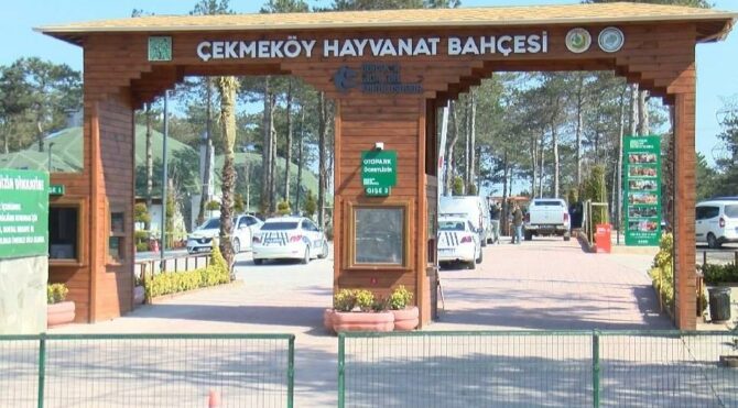 Saldırgan Çekmeköy’deki hayvanat bahçesinden kovulmuş Saldırgan Çekmeköy’deki hayvanat bahçesinden kovulmuş