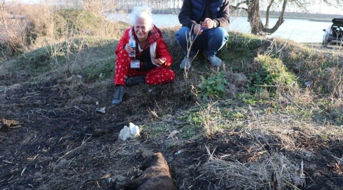 Sekiz yavru köpek yakılarak öldürüldü