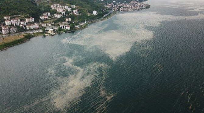 Deniz salyası İzmit Körfezi’ne geri döndü
