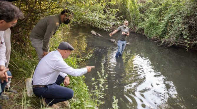 Gediz Nehri can çekişiyor