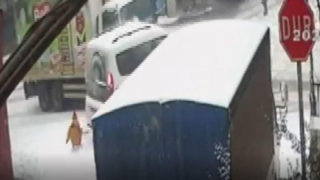 Küçük çocuğun inanılmaz kurtuluşu kamerada