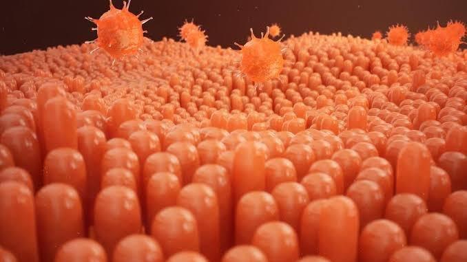 Adana Tabip Odası’ndan ‘maymun çiçeği’ açıklaması