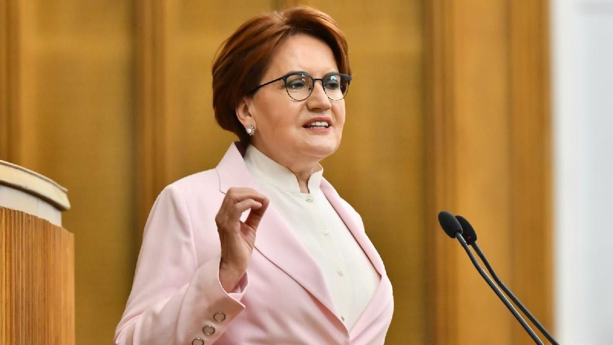 Meral Akşener, Erdoğan’ı ‘Tazmanya canavarı’na benzetti