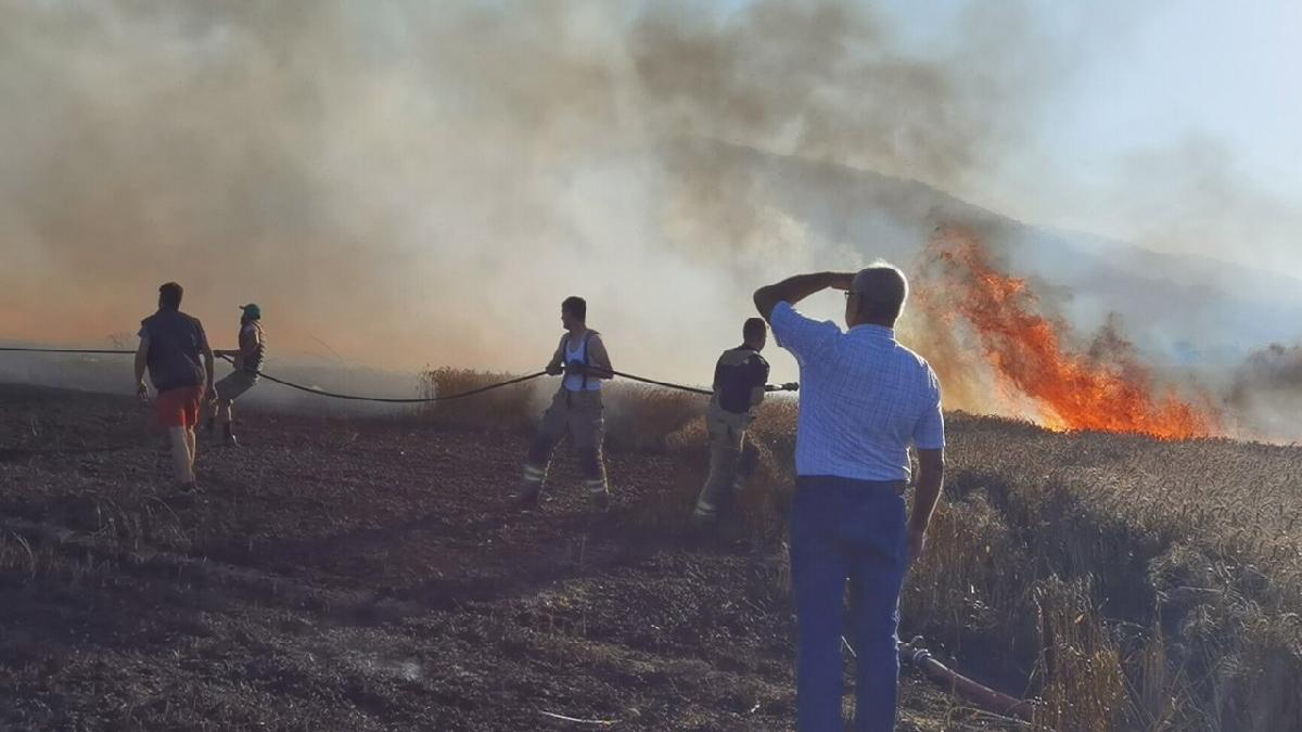 Yangında 40 dönüm ekili alan kül oldu