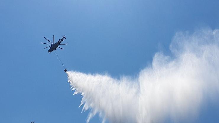 İzmir’de ormanlık alanda çıkan yangına müdahale ediliyor