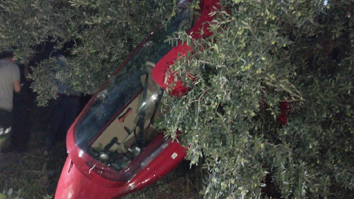 Bursa’da hava taşıtı zorunlu iniş yaptı