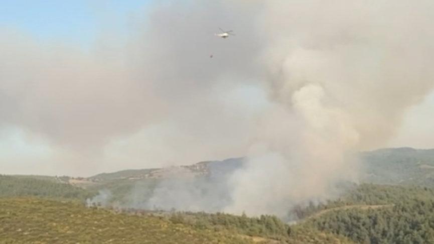 Bursa’da orman yangını