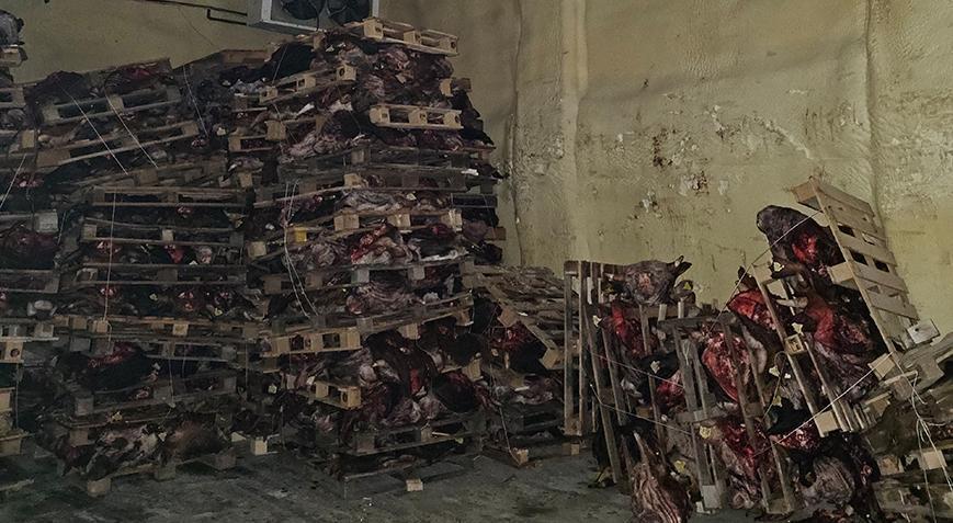 Kötü koku harekete geçirdi! Vatandaşlara yedireceklerdi…