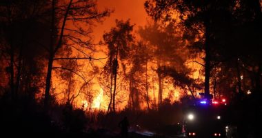 Antalya’nın Aksu ilçesinde orman yangını çıktı