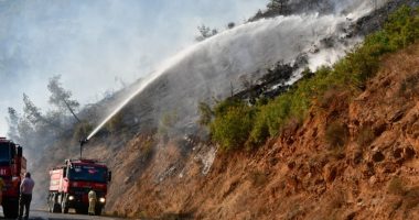 Balıkesir’deki orman yangını kontrol altına alındı