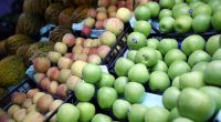 Elma ve limonun ihracatı kayda bağlandı