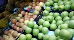 Elma ve limonun ihracatı kayda bağlandı