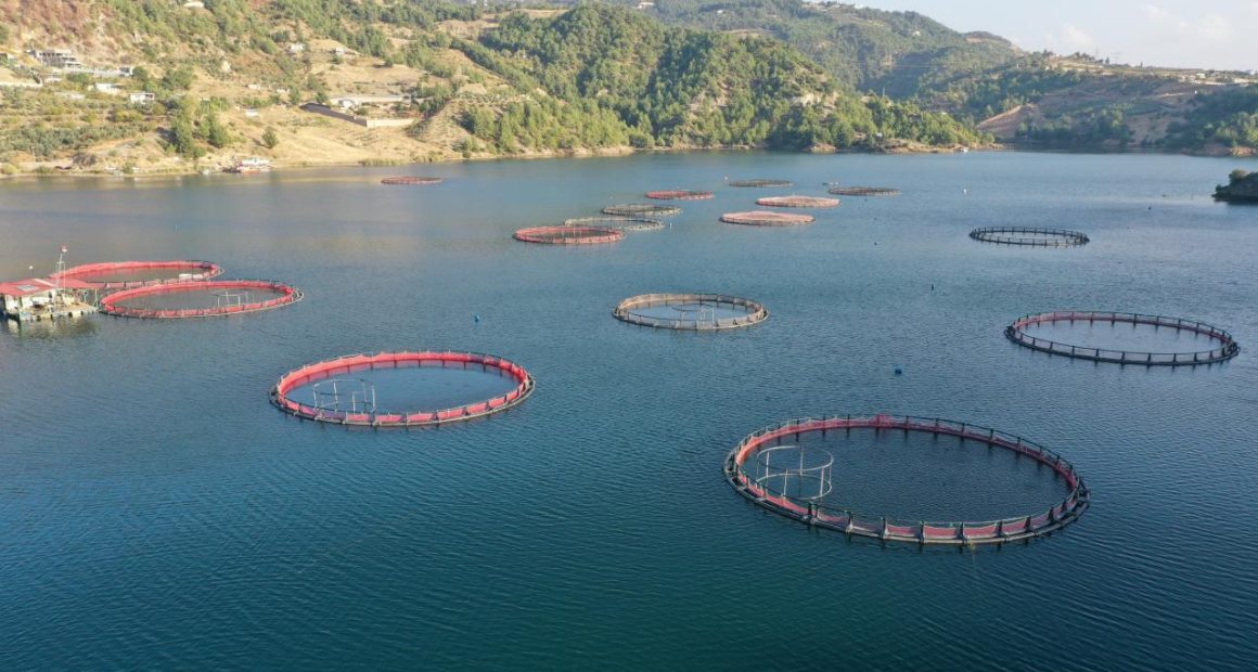 Su ürünleri avcılığı sözleşmeli üretim kapsamına alındı