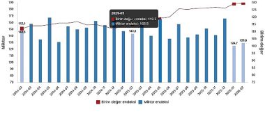 Dış Ticaret Endeksleri, Şubat 2026