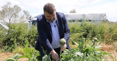 İlçenin önemli tarımsal üretim merkezlerinden Düzce Köyü’nde gerçekleşen hasada, Seferihisar Belediye Başkanı İsmail Yetişkin de katıldı.
