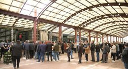 Kahramankazanlı Çiftçilere Fide Desteği Verildi