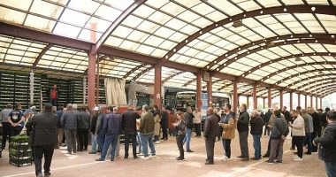 Kahramankazanlı Çiftçilere Fide Desteği Verildi