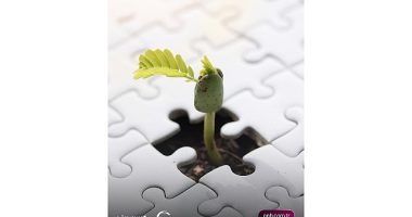 QNB Türkiye ve SEGM’den Gençlere Sürdürülebilir Finans Eğitimi ve Staj İmkânı