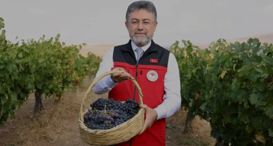 Bakan Yumaklı Türkiye 2024 üzüm üretim hedefini açıkladı
