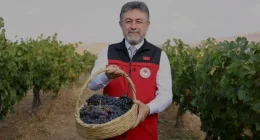 Bakan Yumaklı Türkiye 2024 üzüm üretim hedefini açıkladı