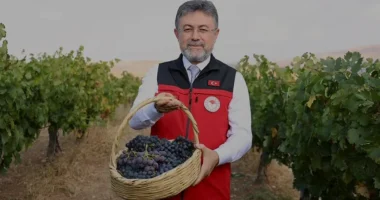 Bakan Yumaklı Türkiye 2024 üzüm üretim hedefini açıkladı