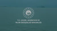 Kocaeli Sekaparkta Deniz Kirliliğine Yol Açan Firmaya Ceza