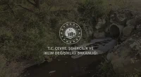 Marmara Denizini Kirleten Yalova Katı Atık Birliğine Ceza